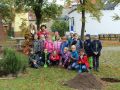 IMG 3083be