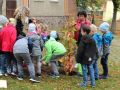 IMG 3101be