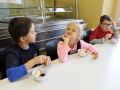 IMG 3176
