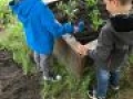 IMG 0017