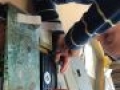 IMG 0067