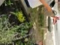 IMG 0085