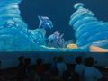 IMG 6831