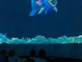 IMG 6832